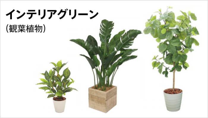 インテリアグリーン
