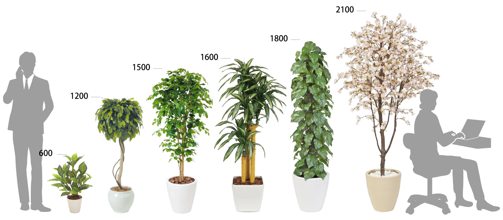 インテリアグリーン 観葉植物 オフィス家具の通販ならアール エフ ヤマカワ