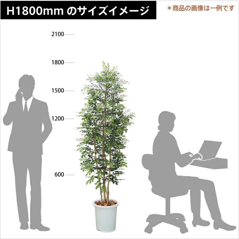 トネリコパーテーション H1800mm ◇HBKD-2-027 観葉植物 インテリア