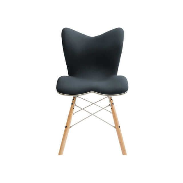 ☆【良品】style premium dx ブラックys-am03a
