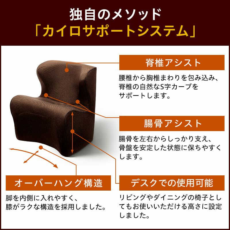 個人宅配送可能商品】Styleシリーズ Dr. Chair Plusスタイルドクター