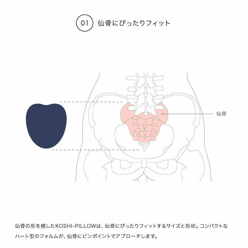 アール・エフ・ヤマカワ ドリーム RELAXKOSHI-PILLOW 仙骨のストレッチクッション ネイビー◆0070-4106-01